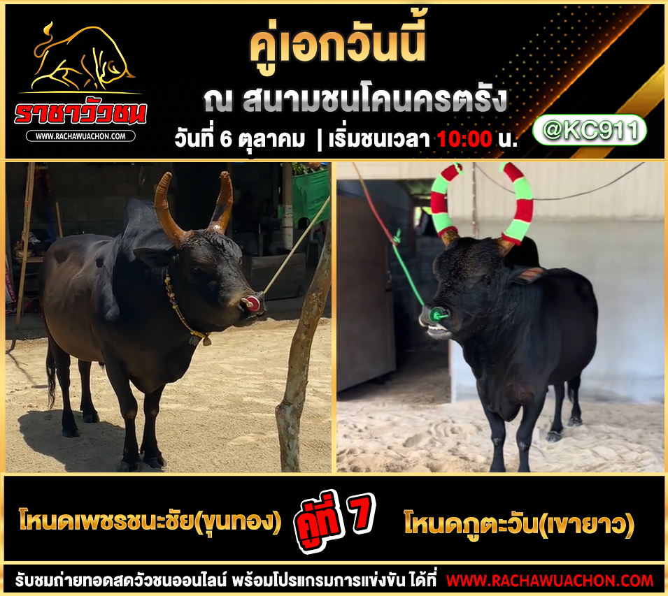 โปรแกรมวัวชนวันนี้ 6-10-2568
