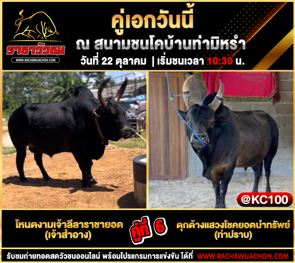 โปรแกรมวัวชนวันนี้ 22-10-2568