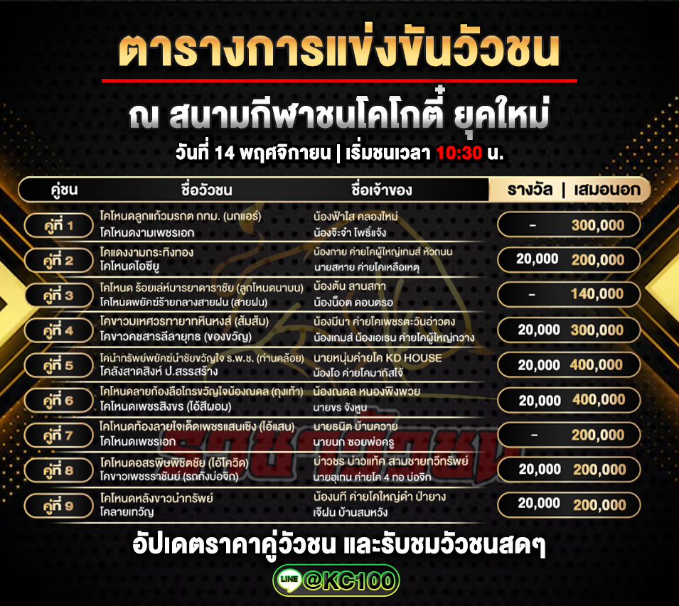 โปรแกรมวัวชนวันนี้ 14-11-2568