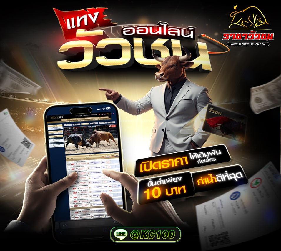 วัวชนวันนี้ 7-11-2568