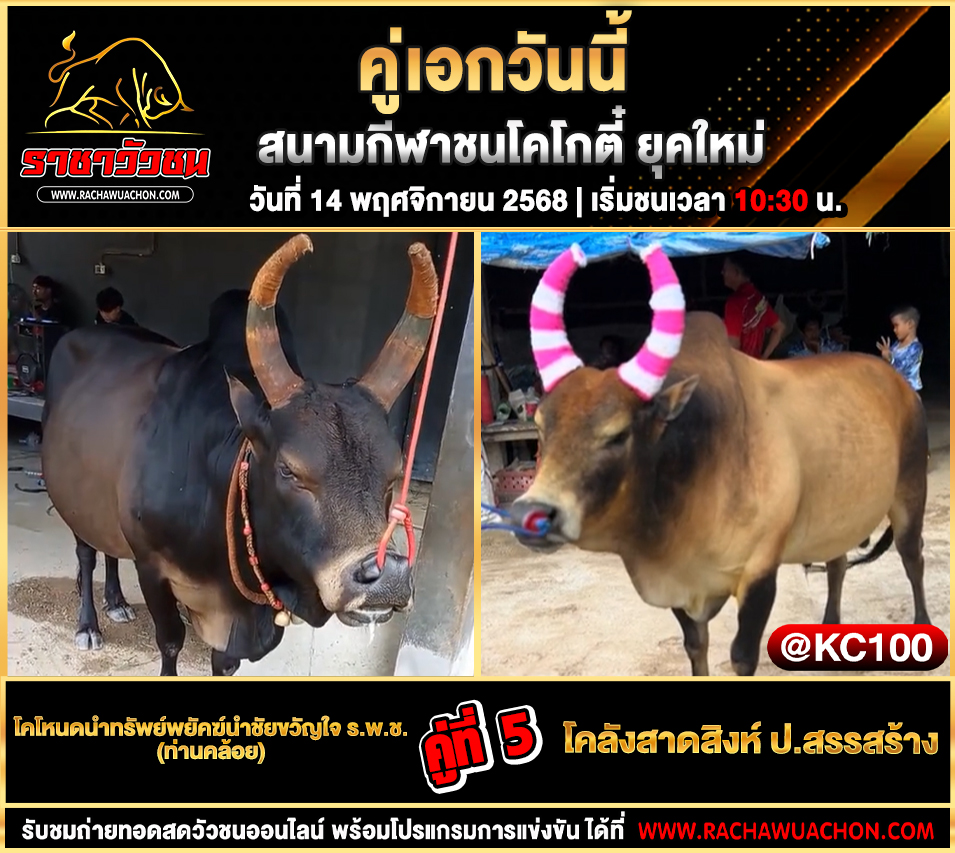 โปรแกรมวัวชนวันนี้ 14-11-2568