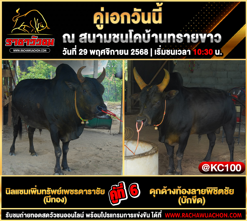 โปรแกรมวันชนวันนี้ 29-11-2568