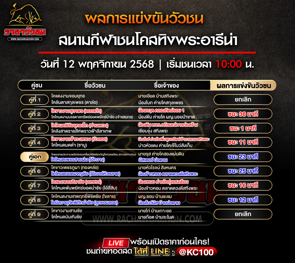 ผลวัวชน 12-11-2568