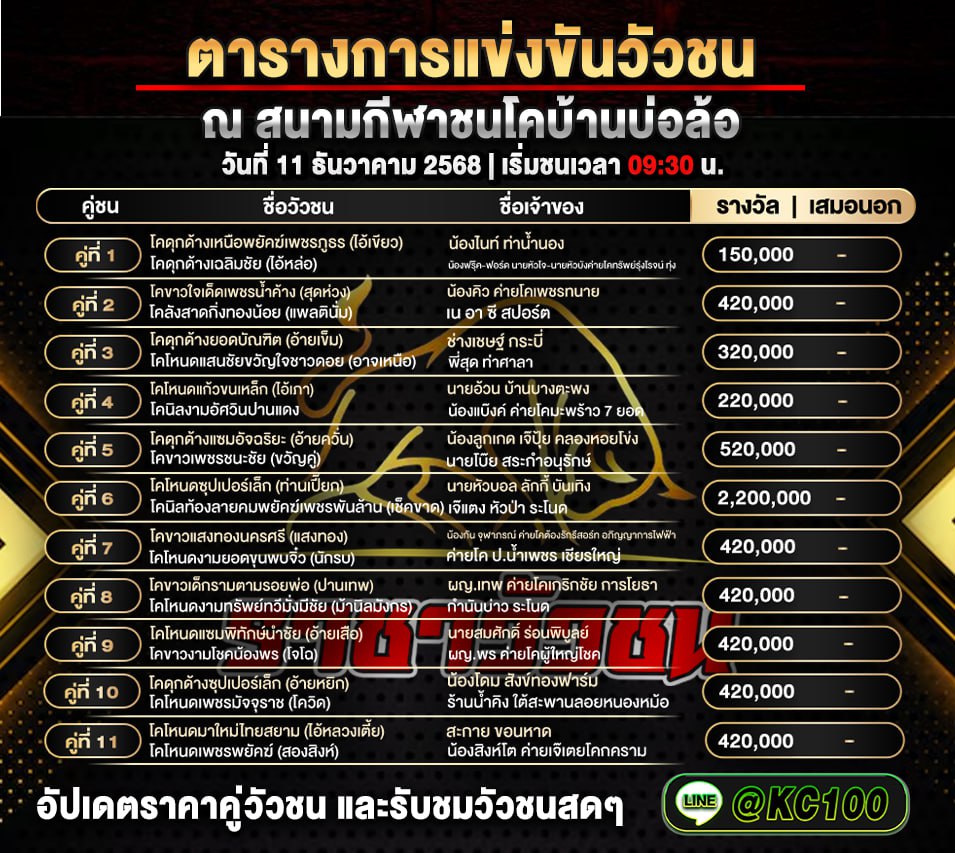 โปรแกรมวัวชนวันนี้ 11-12-2568