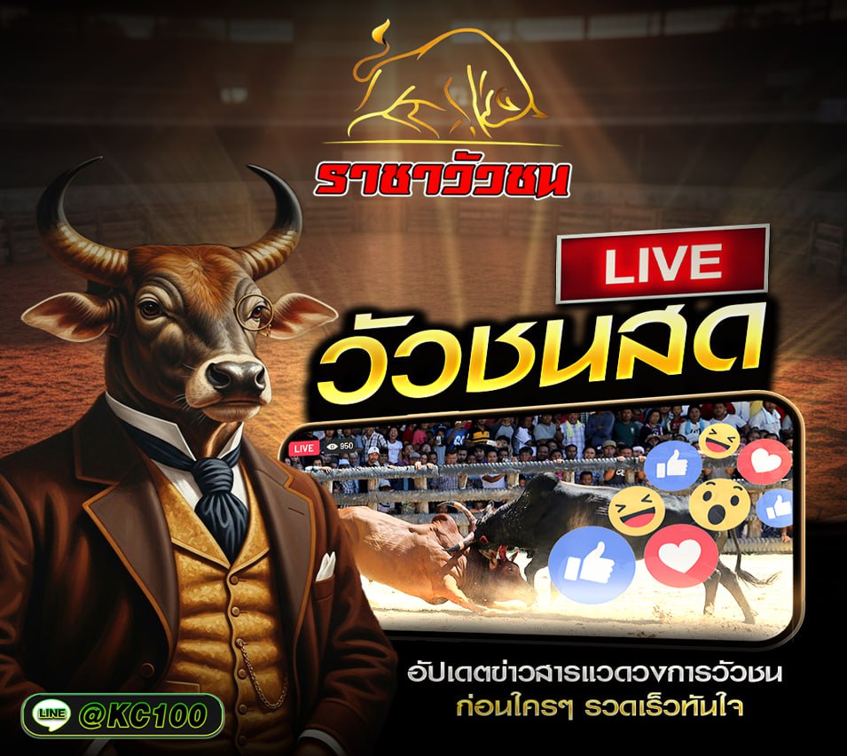 วัวชนวันนี้ 22-12-2568