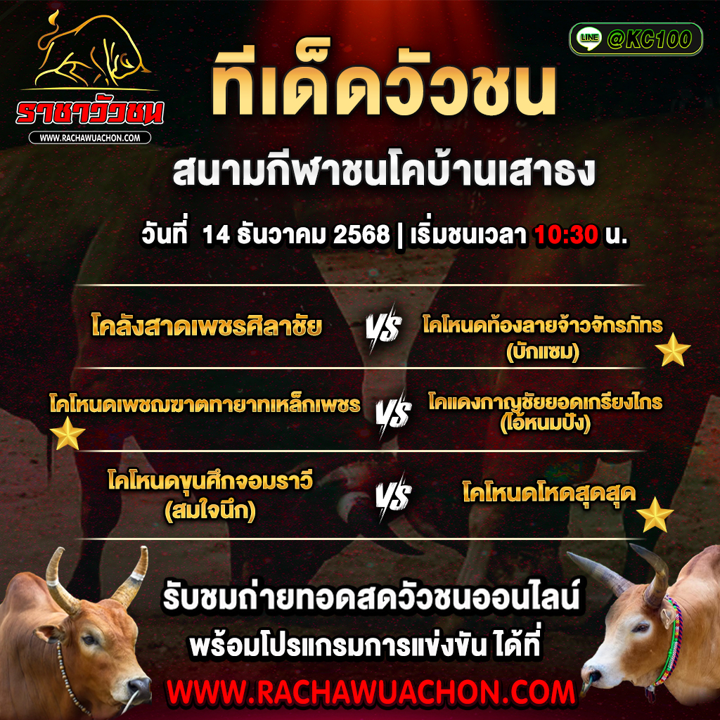 ทีเด็ดวัวชนวันนี้ 14-12-2568