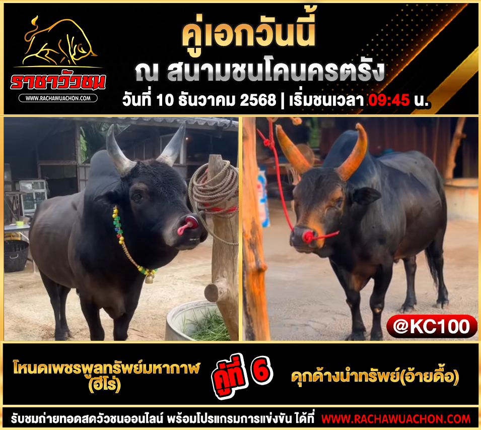 โปรแกรมวัวชนพรุ่งนี้ 10-12-2568