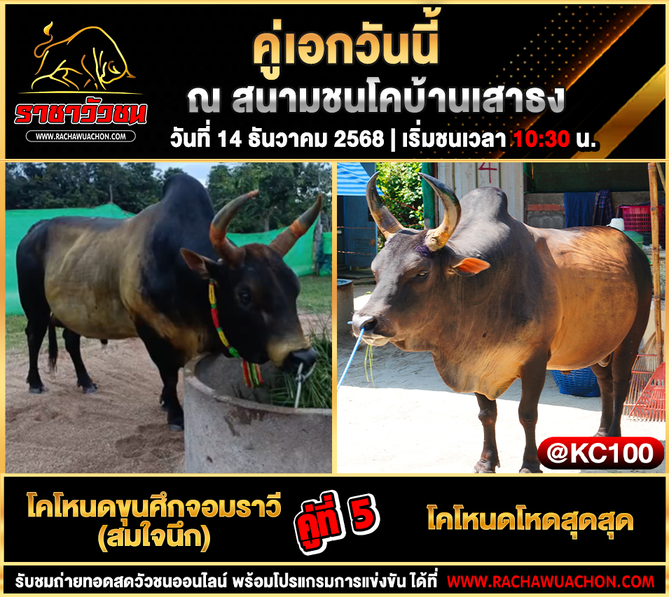 โปรแกรมวัวชนพรุ่งนี้ 14-12-2568