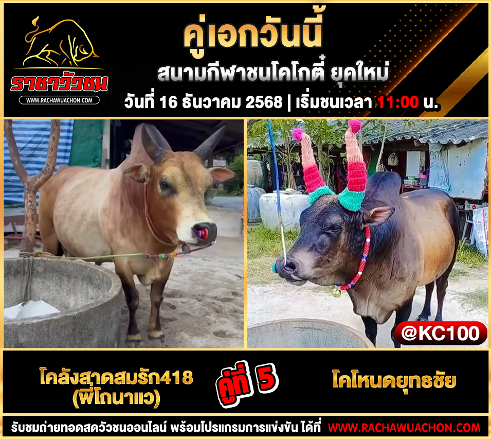 โปรแกรมวัวชนพรุ่งนี้ 16-12-2568