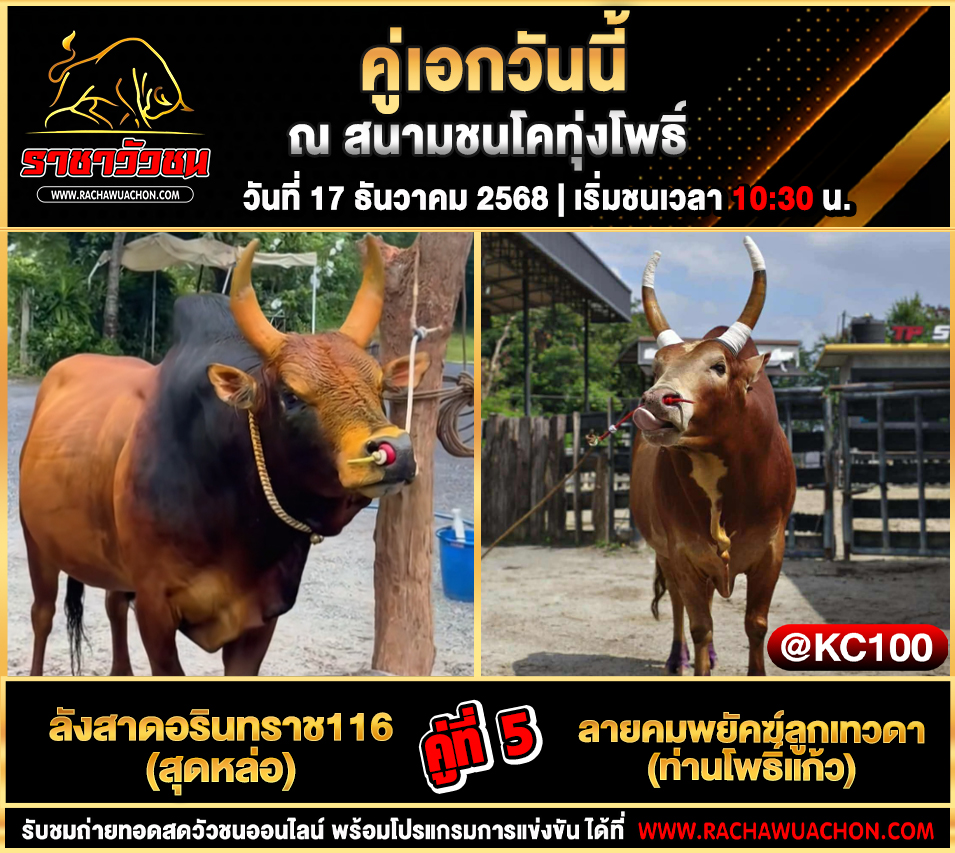 โปรแกรมวัวชนพรุ่งนี้ 17-12-2568