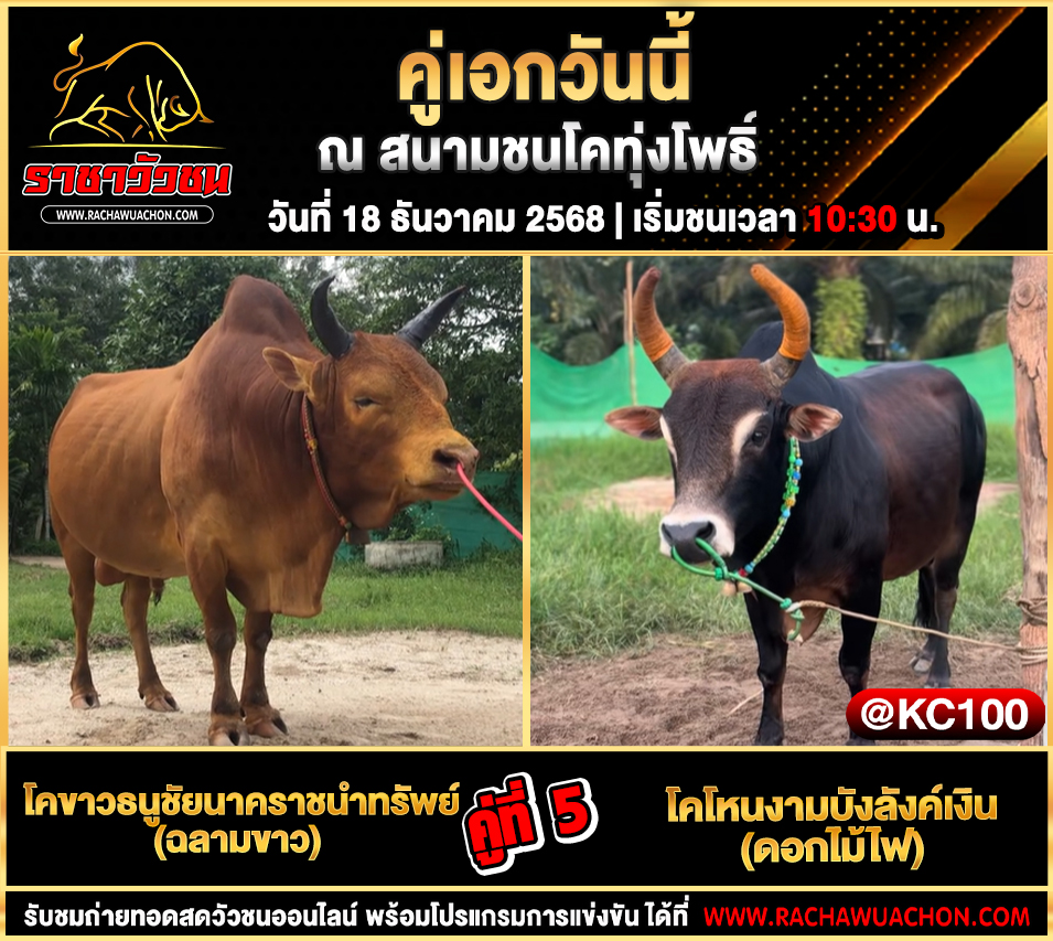 โปรแกรมวัวชนพรุ่งนี้ 18-12-2568