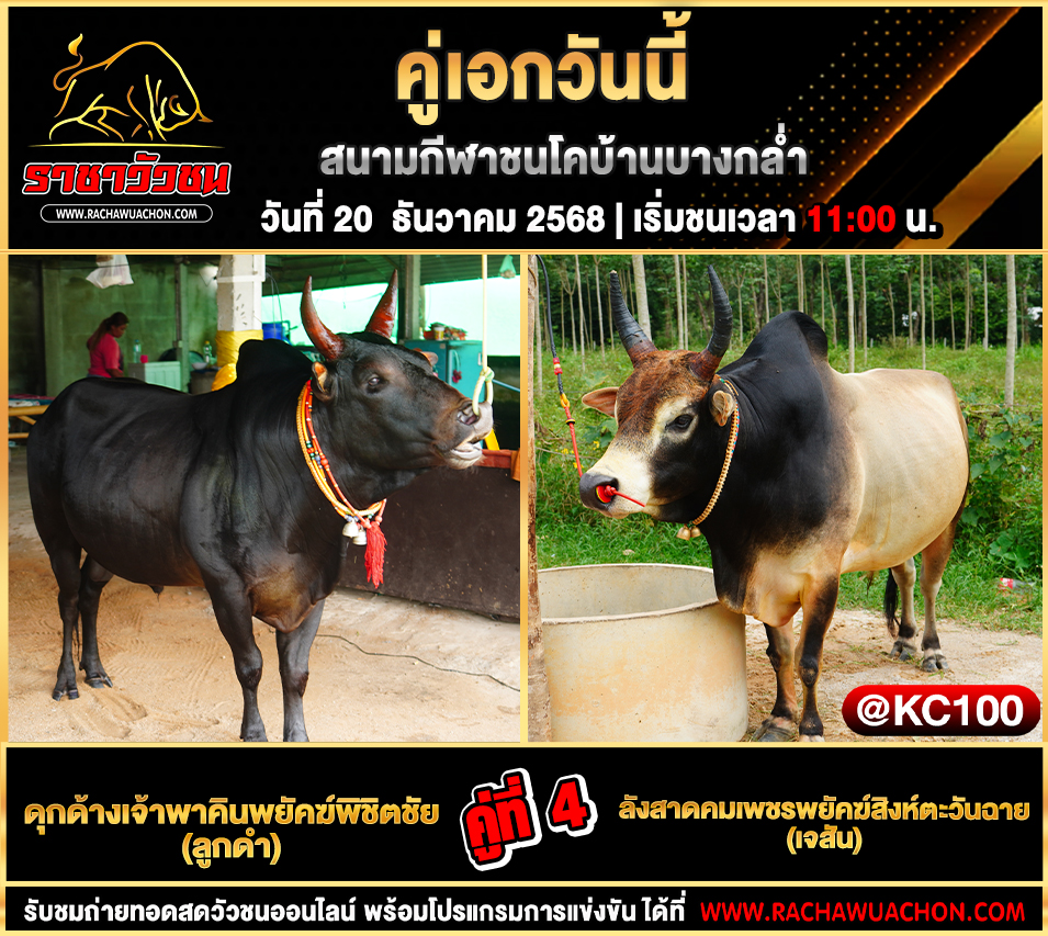 โปรแกรมวัวชนพรุ่งนี้ 20-12-2568