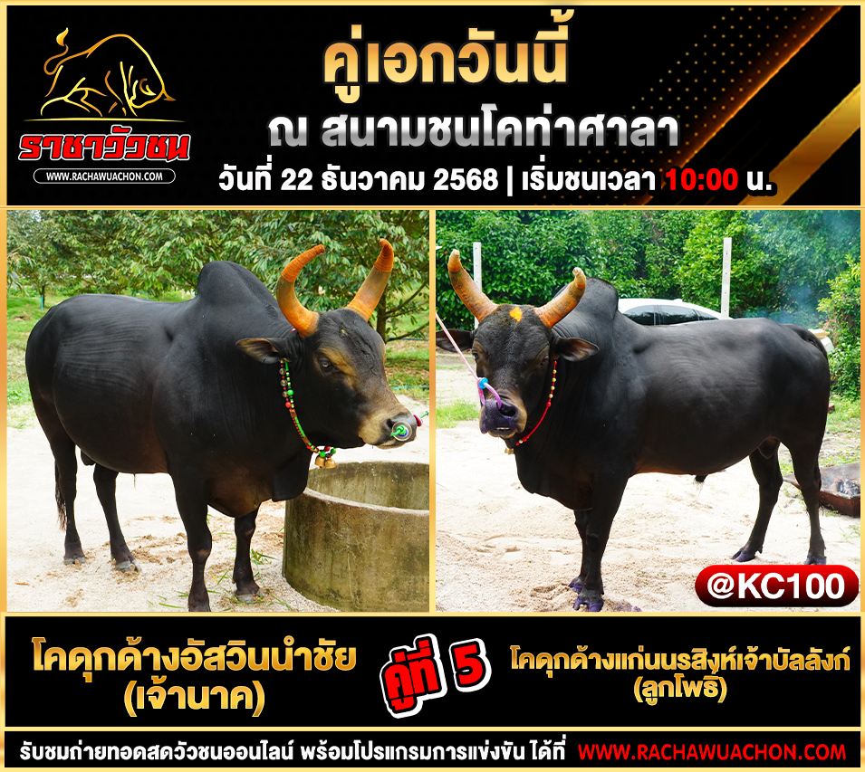 โปรแกรมวัวชนพรุ่งนี้ 22-12-2568