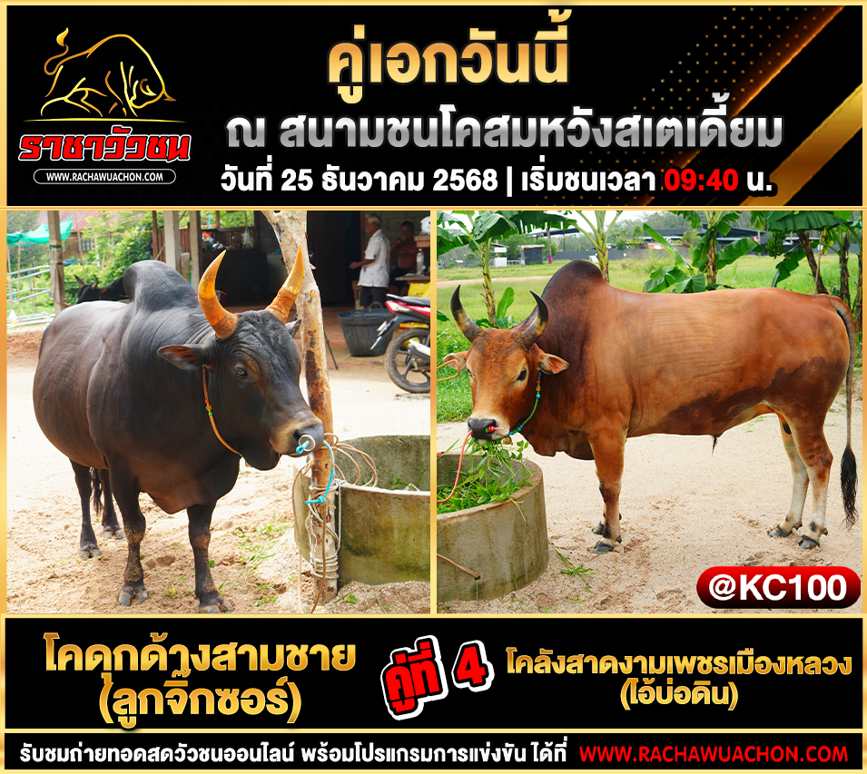 โปรแกรมวัวชนพรุ่งนี้ 25-12-2568