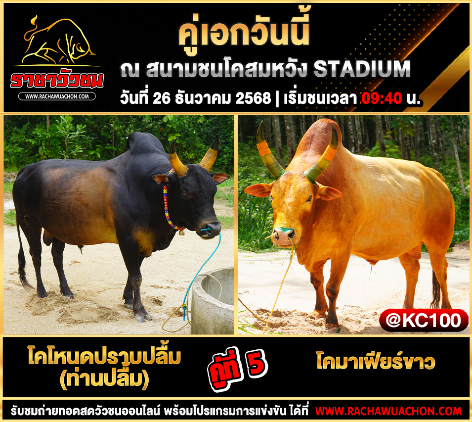 โปรแกรมวัวชนพรุ่งนี้ 26-12-2568