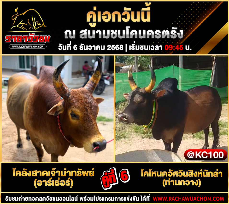 โปรแกรมวัวชนพรุ้งนี้ 6-12-2568