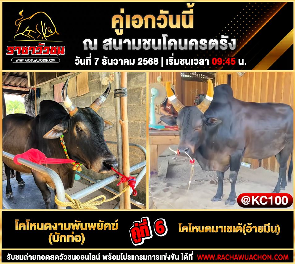 โปรแกรมวัวชนพรุ่งนี้ 7-12-2568
