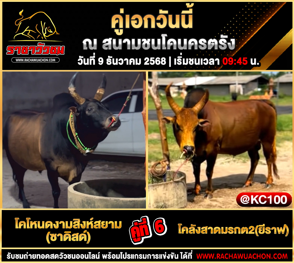 โปรแกรมวัวชนพรุ้งนี้ 9-12-2568