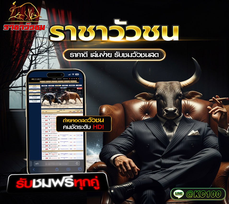 วัวชนวันนี้ 5-1-2569