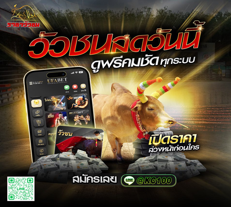 วัวชนวันนี้ 29-1-2569