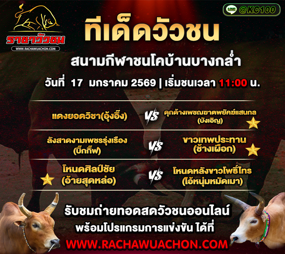 ทีเด็ดวัวชนวันนี้ 17-1-2569