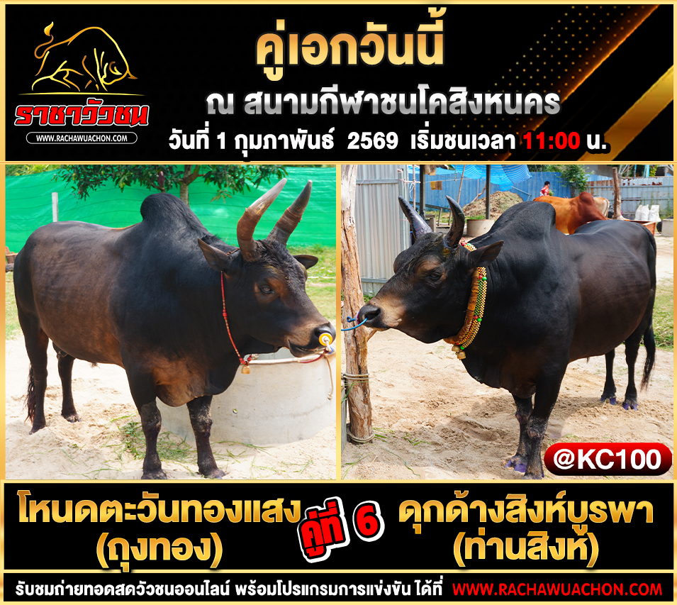 โปรแกรมวัวชนพรุ่งนี้ 1-2-2569