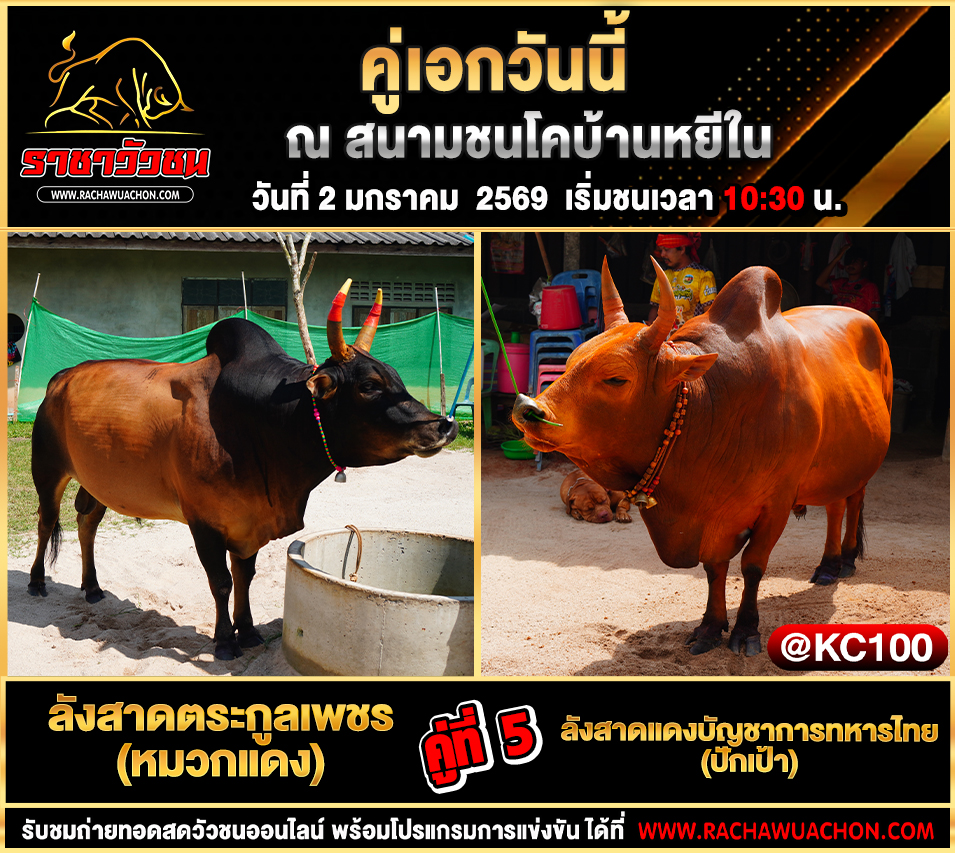 โปรแกรมวัวชนพรุ่งนี้ 2-1-2568