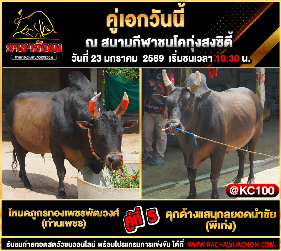 โปรแกรมวัวชนพรุ่งนี้ 23-1-2569