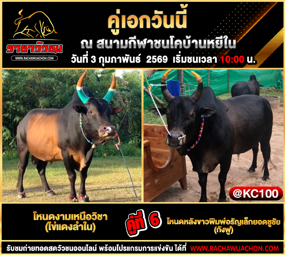 โปรแกรมวัวชนพรุ่งนี้ 3-2-2569