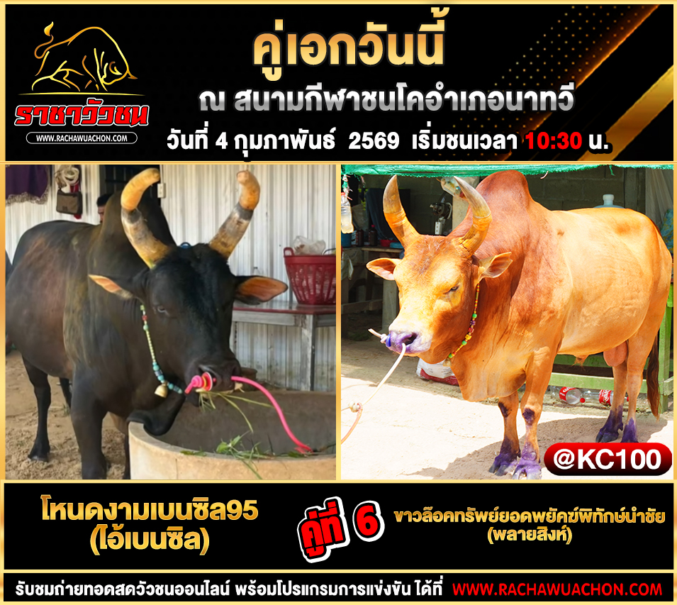 โปรแกรมวัวชนพรุ่งนี้ 4-2-2569