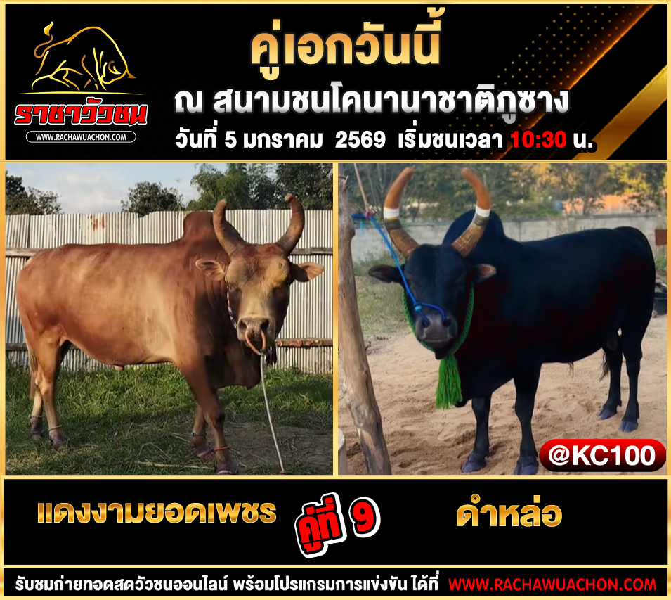โปรแกรมวัวชนพรุ่งนี้ 5-1-2569