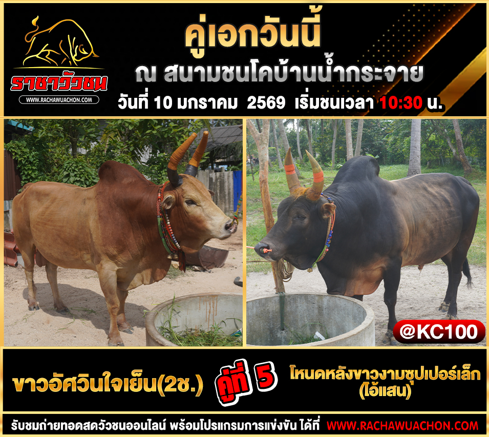 โปรแกรมวัวชนวันนี้ 10-1-2569