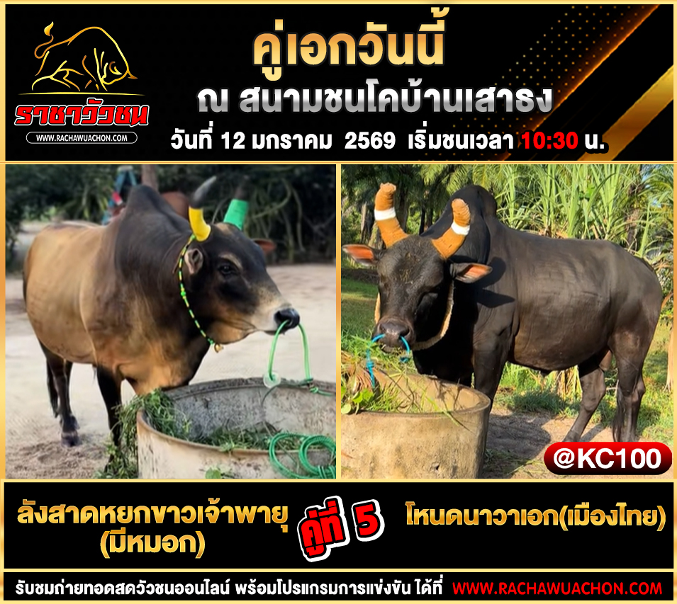 โปรแกรมวัวชนพรุ่งนี้ 12-1-2569