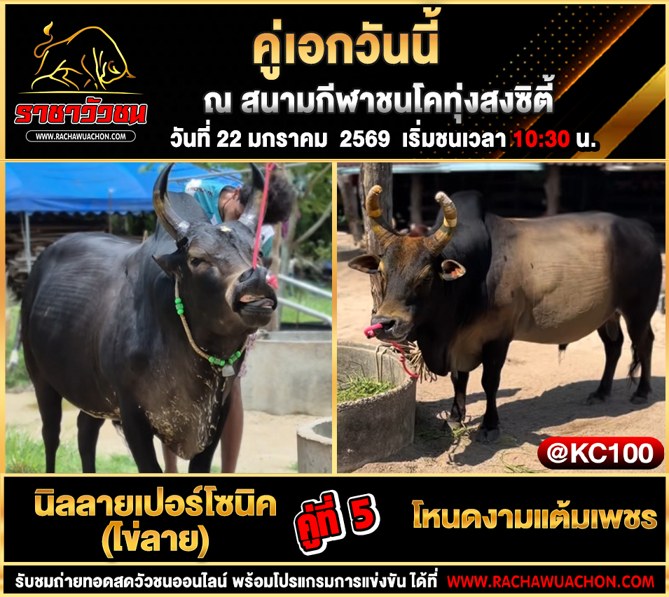 โปรแกรมวัวชนพรุ่งนี้ 22-1-2569