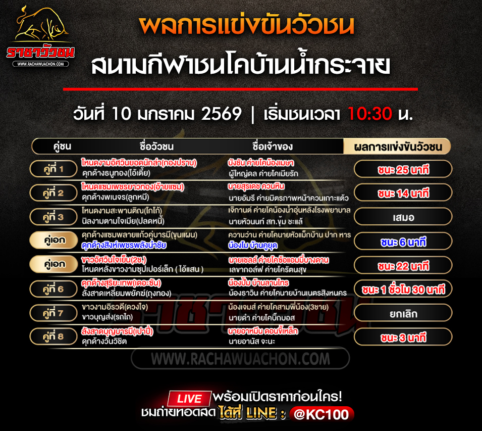 ผลวัวชน 10-1-2569