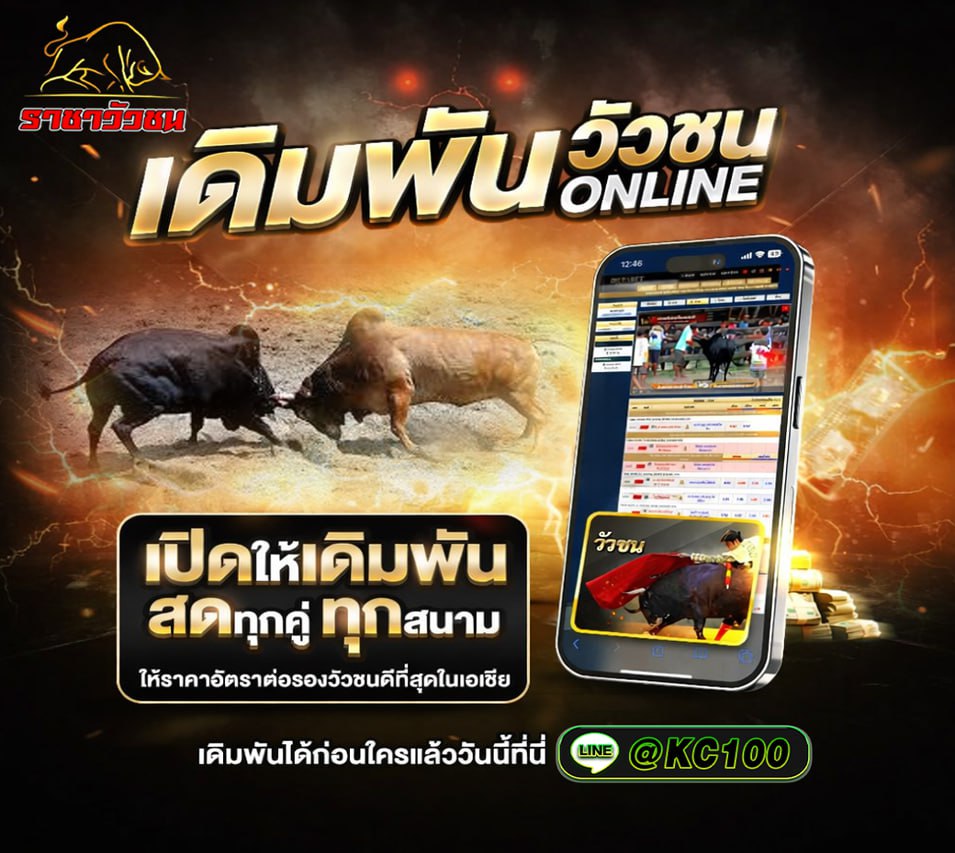 วัวชนพรุ่งนี้ 10-2-2569