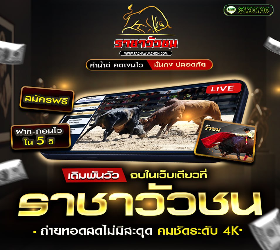 วัวชนวันนี้ 5-2-2569