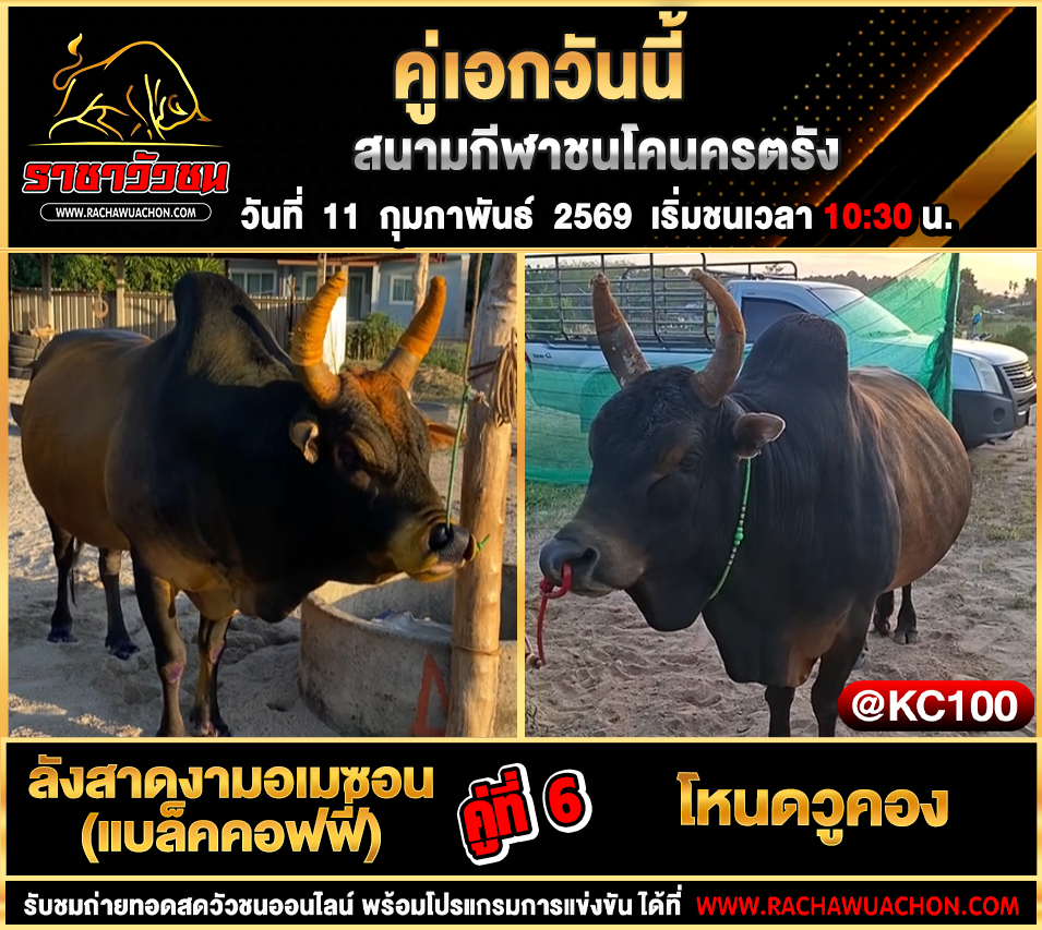 โปรแกรมวัวชนวันนี้ 11-2-2569