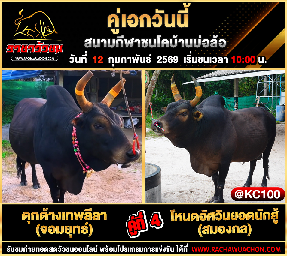 โปรแกรมวัวชนวันนี้ 12-2-2569
