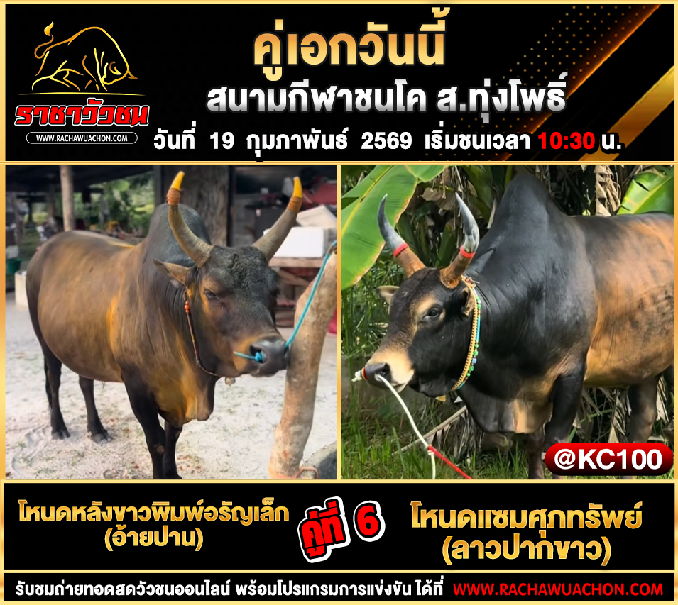โปรแกรมวัวชนพรุ่งนี้ 19-2-2569