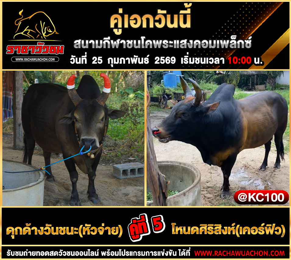 โปรแกรมวัวชนพรุ่งนี้ 25-2-2569