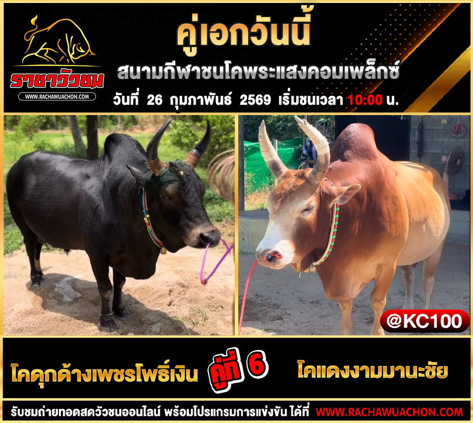 โปรแกรมวัวชนวันนี้ 26-2-2569