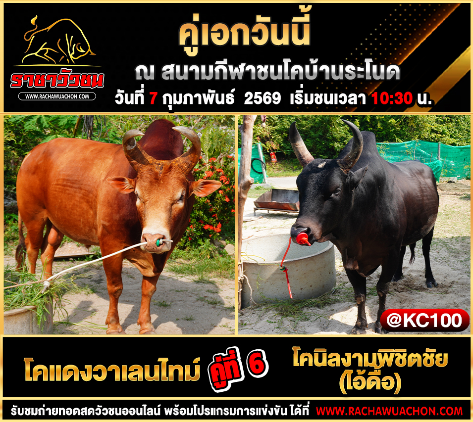 โปรแกรมวัวชนวันนี้ 7-2-2569