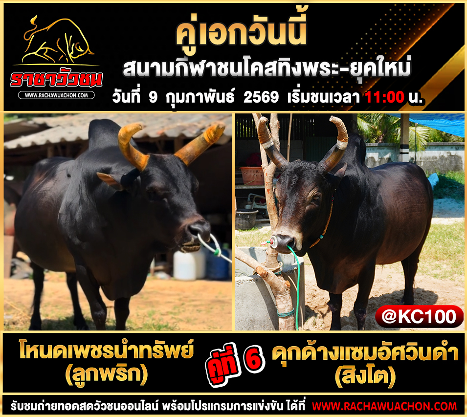 โปรแกรมวัวชนวันนี้ 9-2-2569