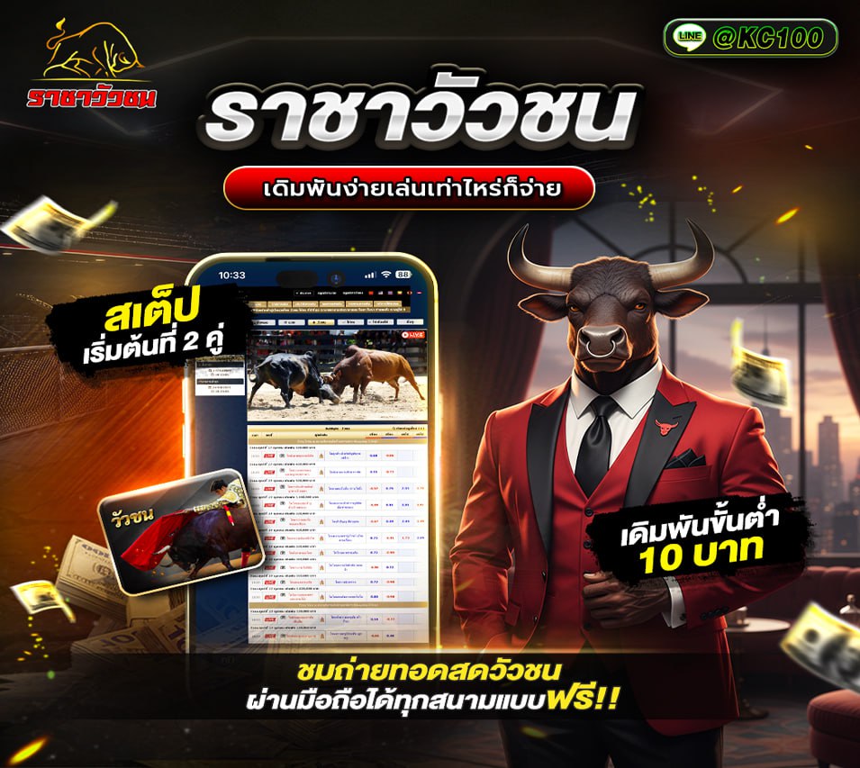 วัวชนวันนี้ 17-3-2569