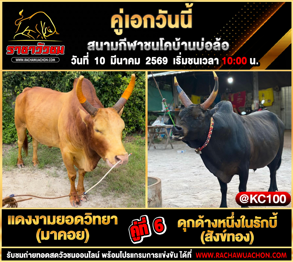 โปรแกรมวัวชนพรุ่งนี้ 10-3-2569