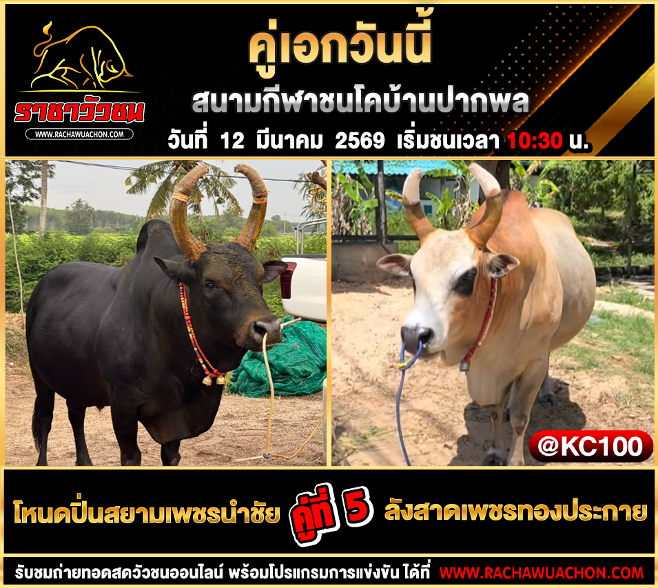 โปรแกรมวัวชนพรุ่งนี้ 12-3-2569