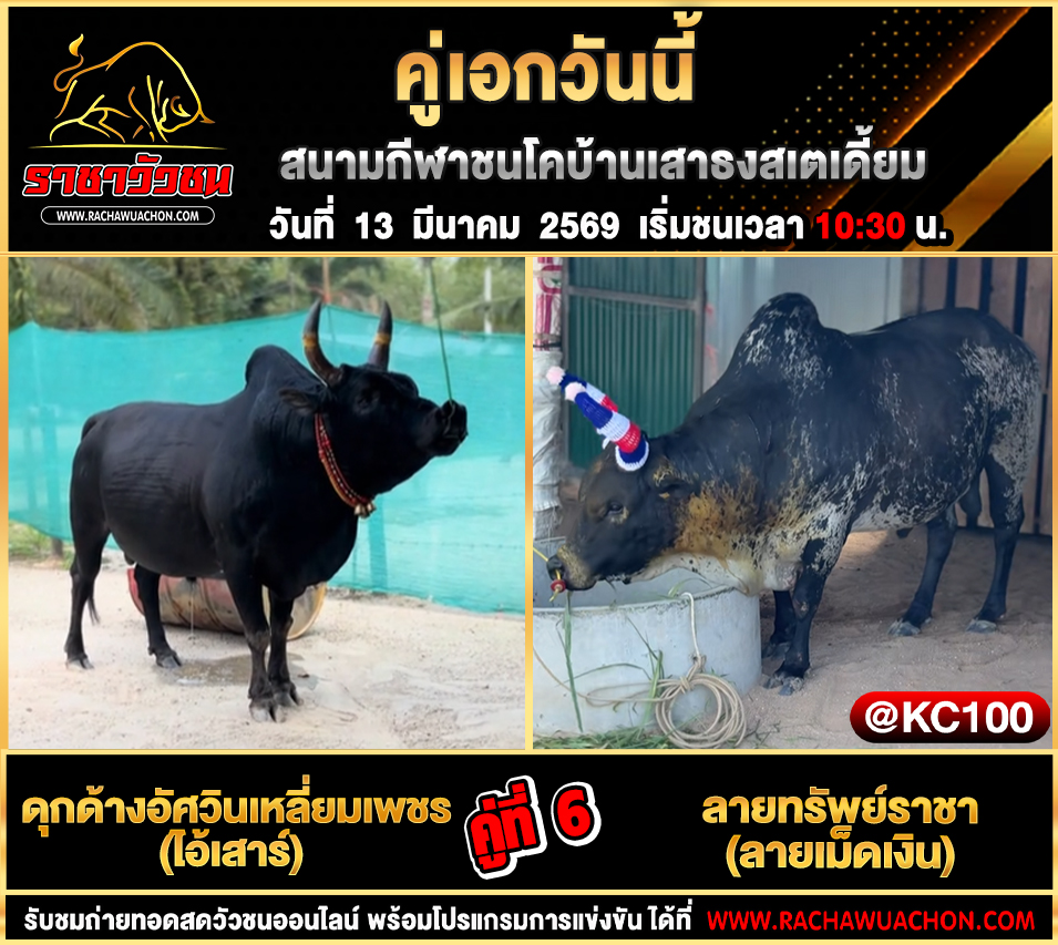 โปรแกรมวัวชนวันนี้ 13-3-2569