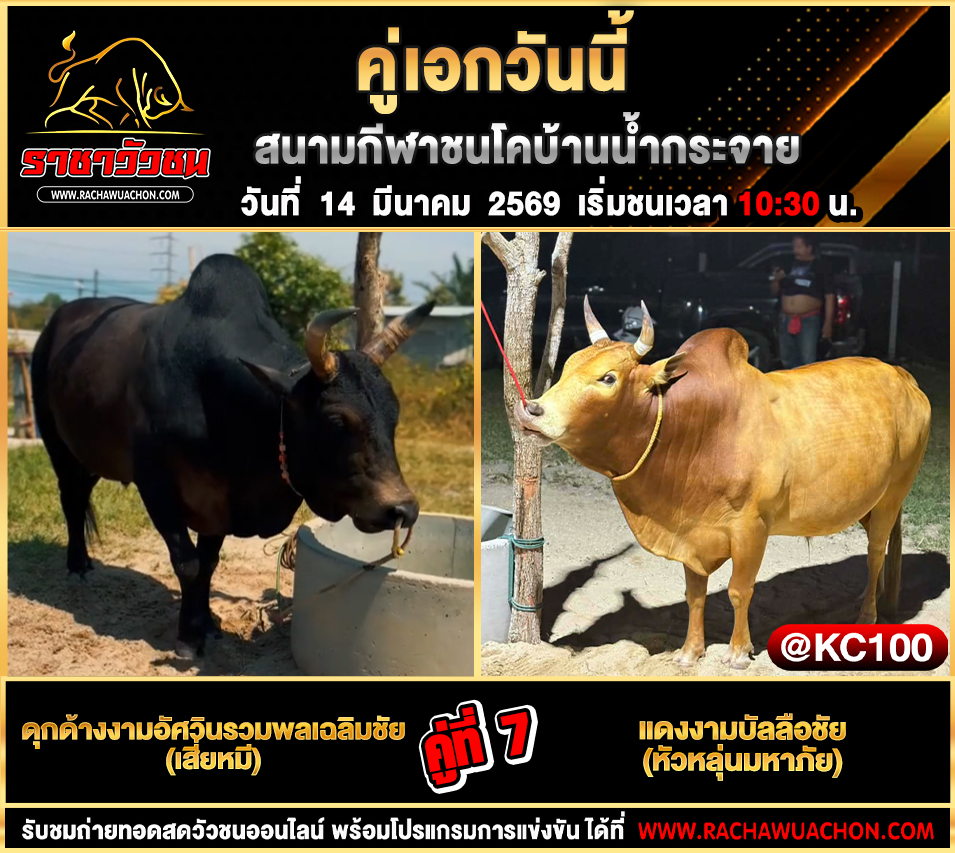 โปรแกรมวัวชนวันนี้ 14-3-2569