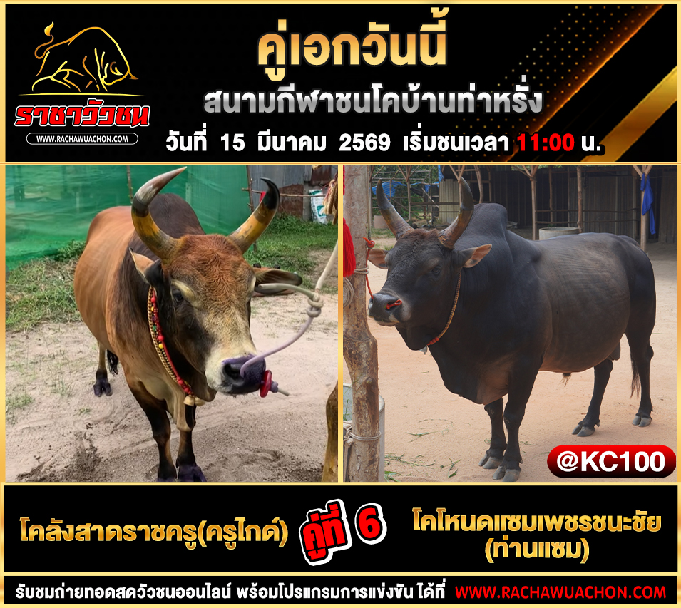 โปรแกรมวัวชนวันนี้ 15-3-2569